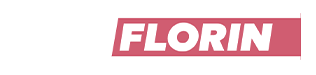 Dirk Florin Logo